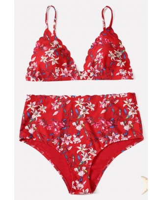 Red Floral Print Scallop Padded Sexy Bikini